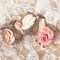 3-Pack Camellia Flower Hair Clips (Pink, Champagne, White), 3 Colors Transparent